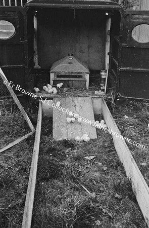 OLD VAN AS CHICKEN HOUSE